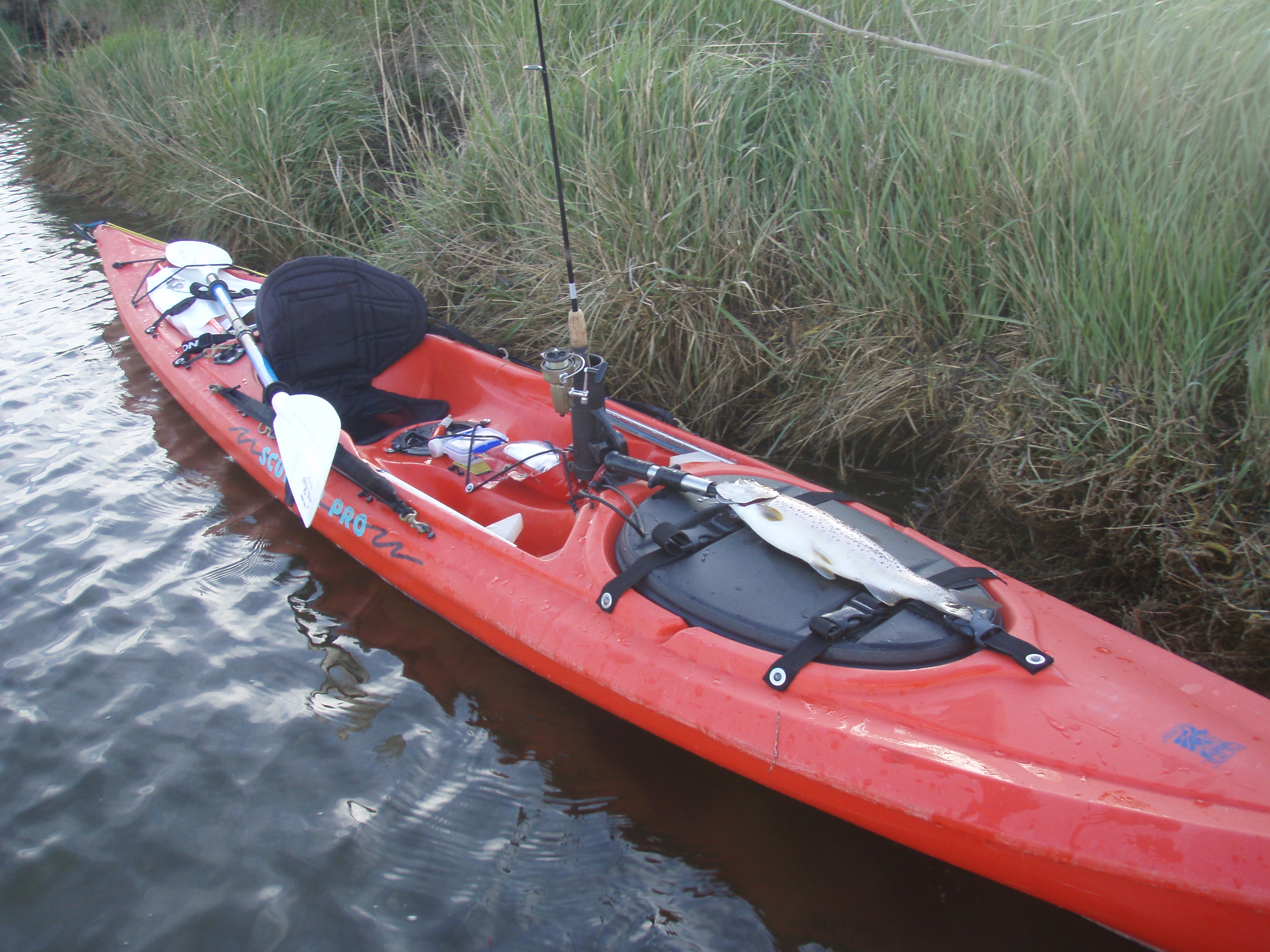 ocean kayak – scupper pro dive kayak fishing otago
