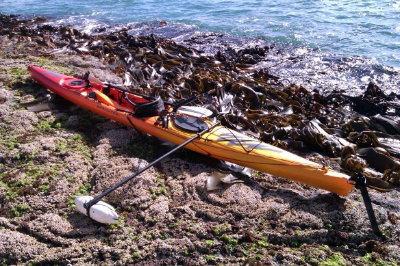 Ocean Kayak Sprinter | Kayak Fishing Otago